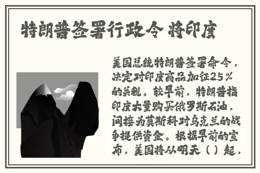 麻婆豆腐传媒看